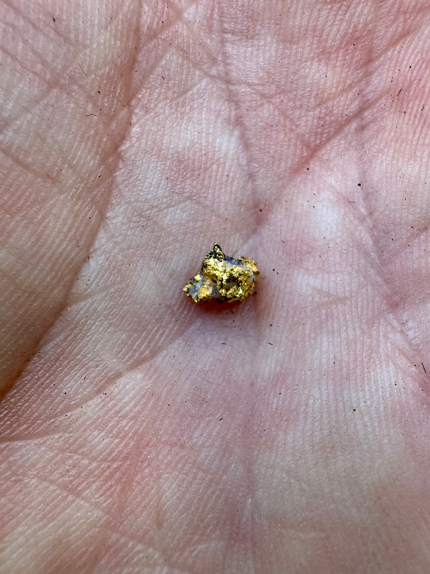 Small 0.42 gram Natural Gold Nugget with some minor host rock.