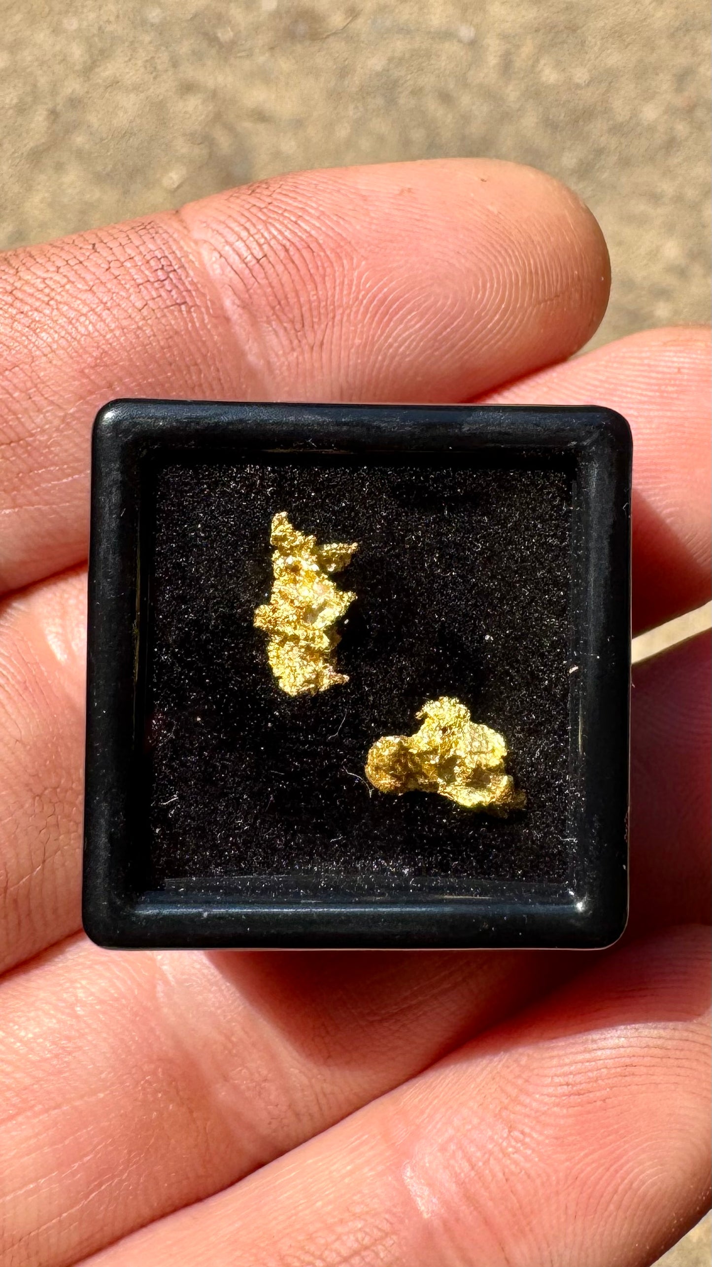 Pair of Gold Nuggets 1.25 grams