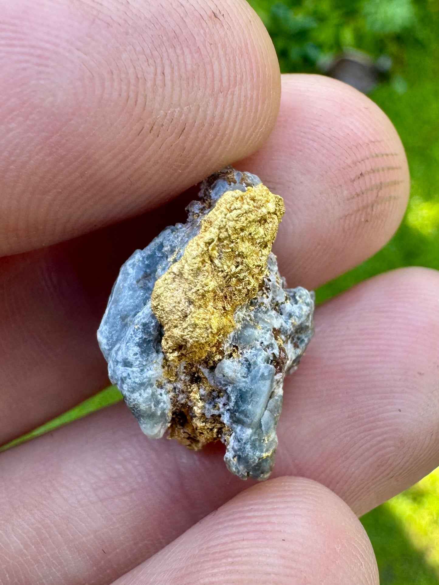 Beautiful blue quartz gold specimen 5.87 grams Pine Creek Gold Nugget