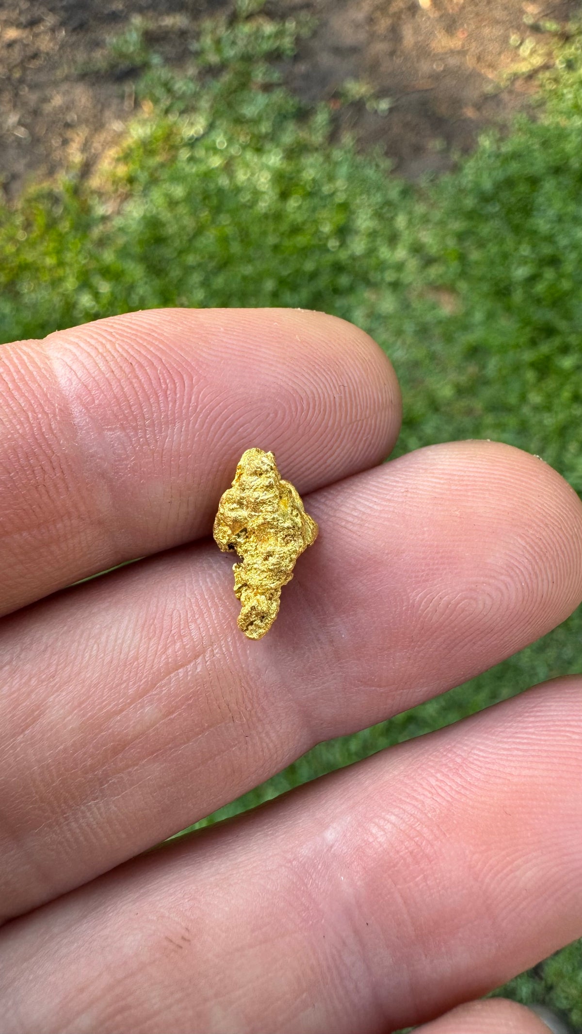 A Cracking Gold Nugget 3.05 grams