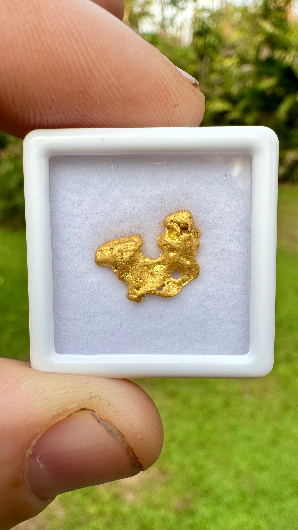A Beautiful Butterfly Shaped Gold Nugget 1.80 grams