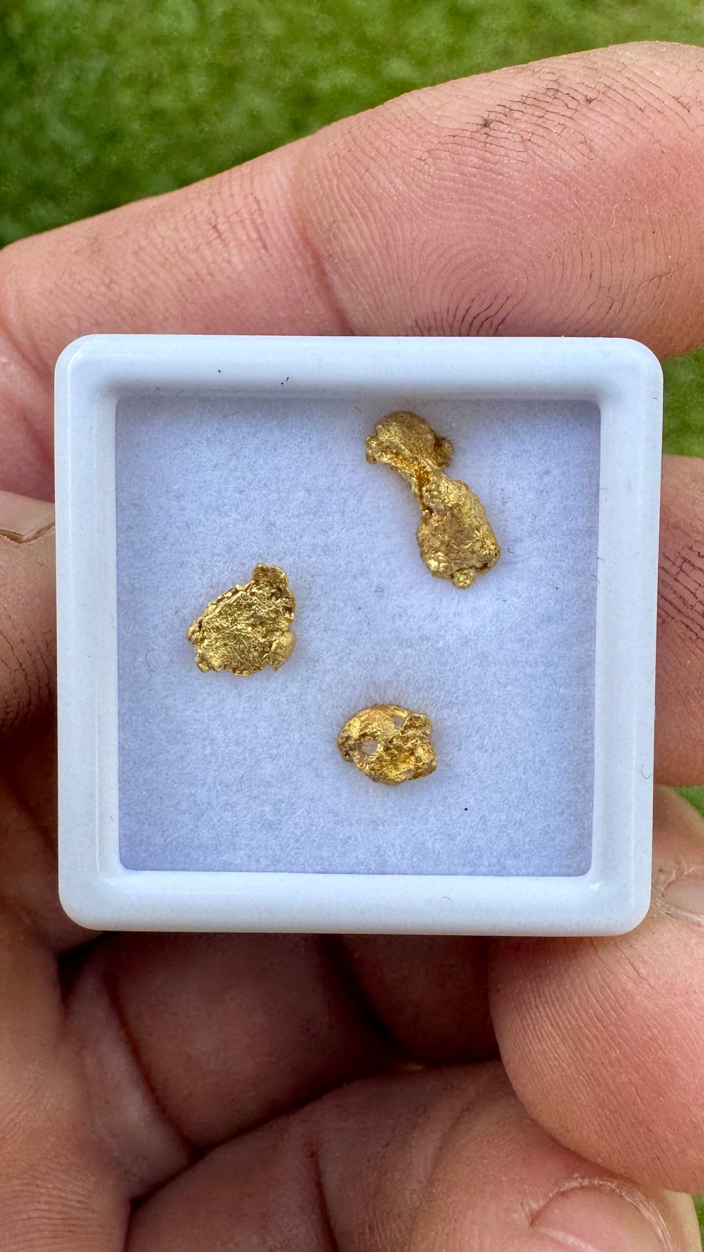 1.12 grams for three NT Gold Nuggets
