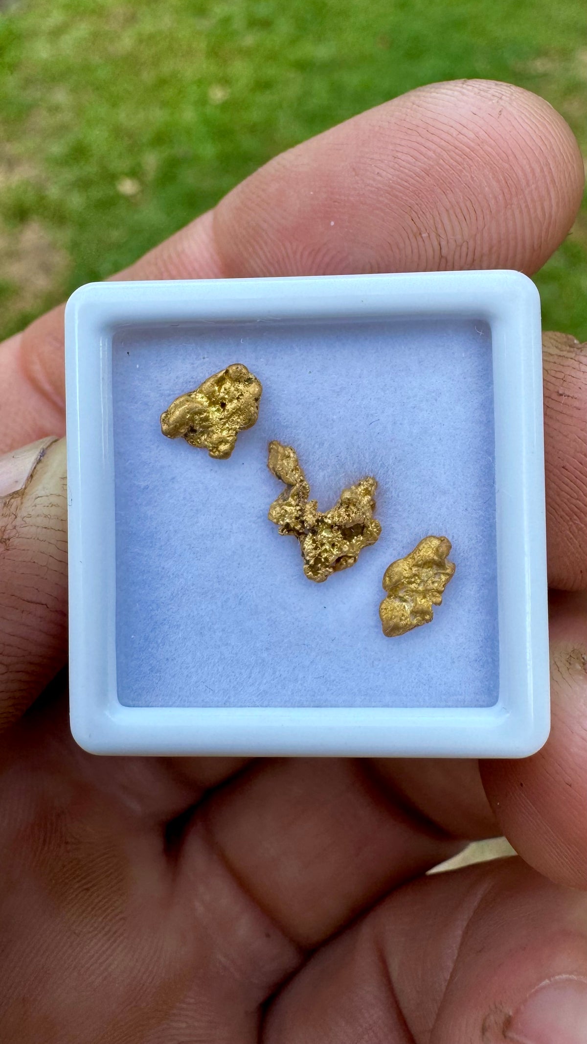 1.24 grams of Authentic Pine Creek Gold Nuggets