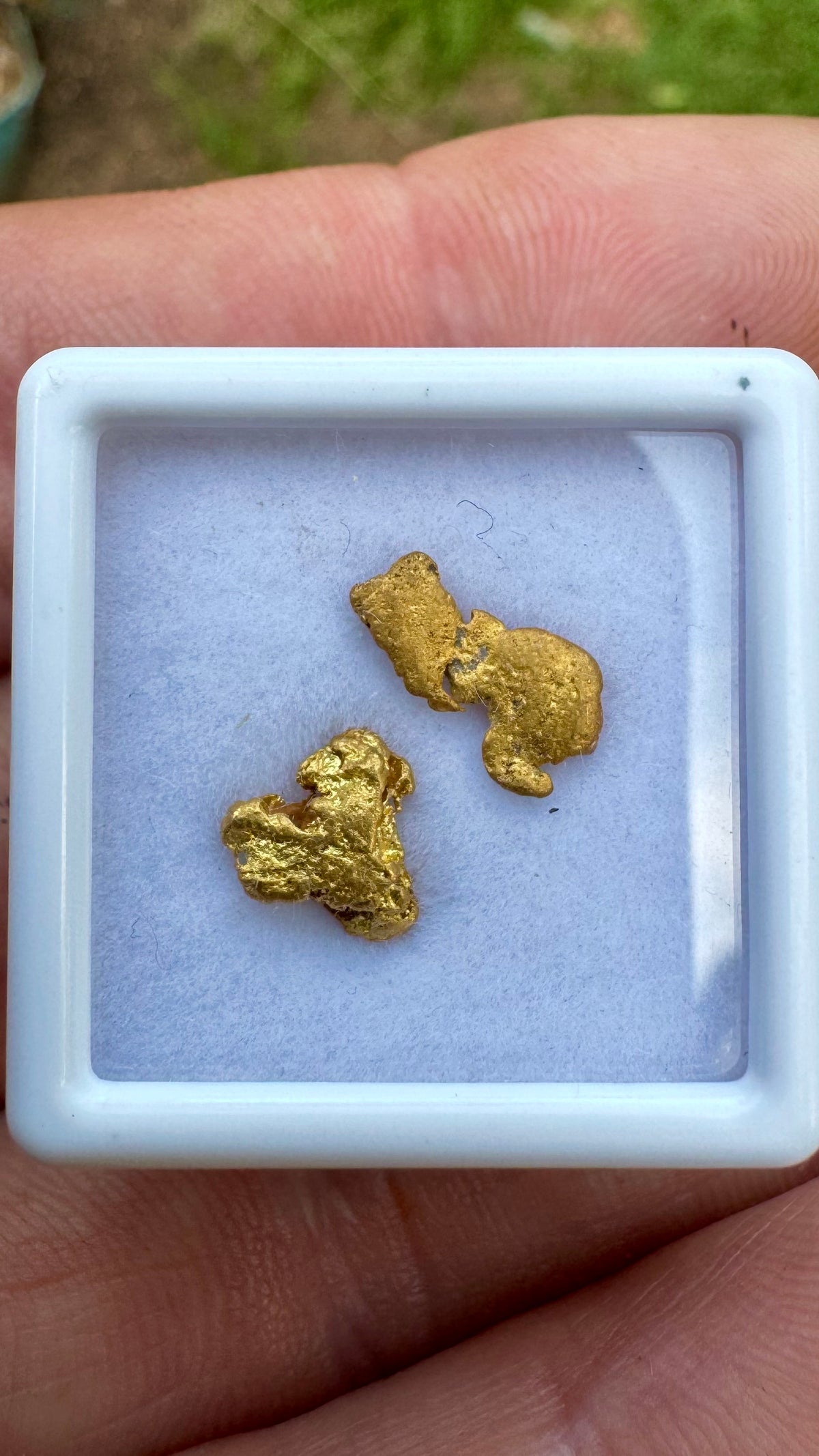 Amazing 1.45 grams of NT gold nuggets