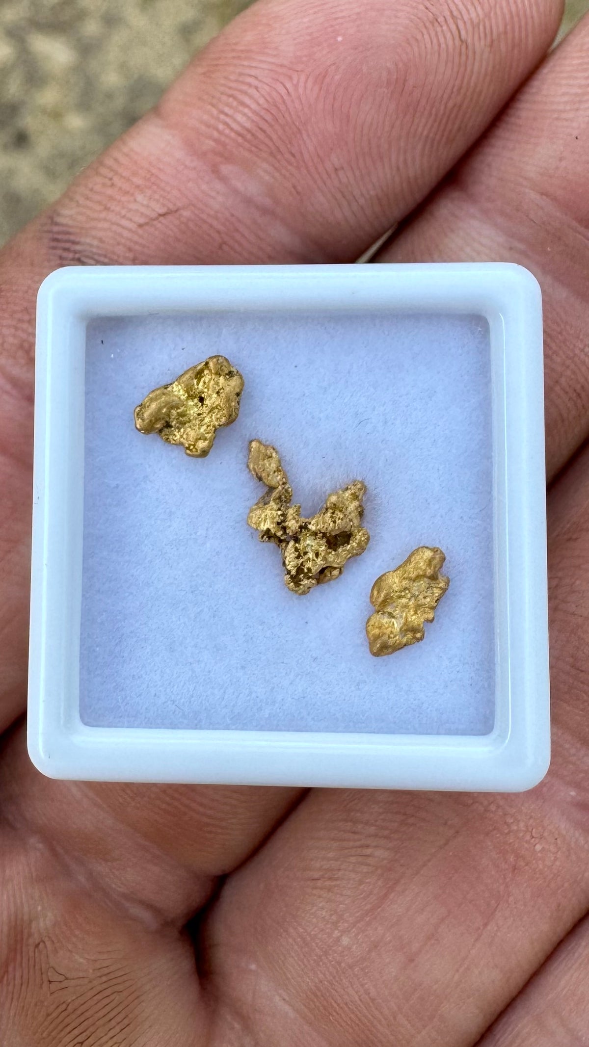 1.24 grams of Authentic Pine Creek Gold Nuggets