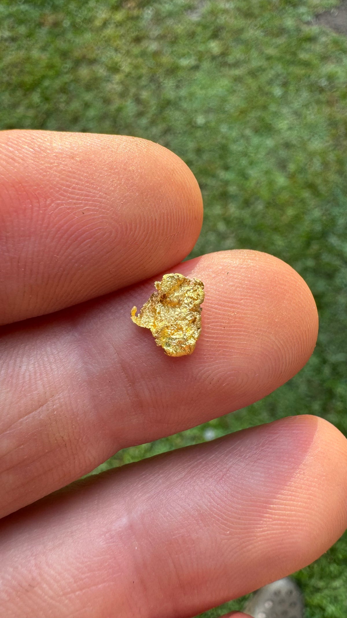0.59 gram Northern Territory Gold Nugget