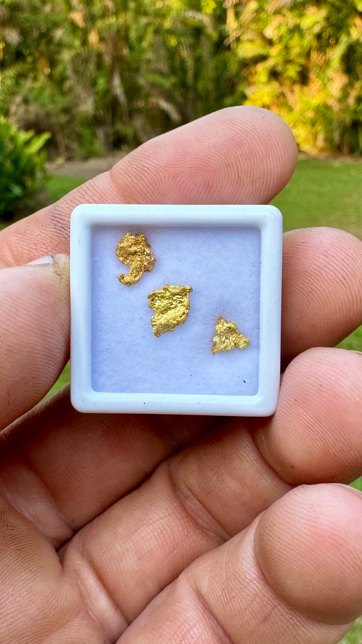Beautiful Natural NT 1.15 grams Gold Nuggets