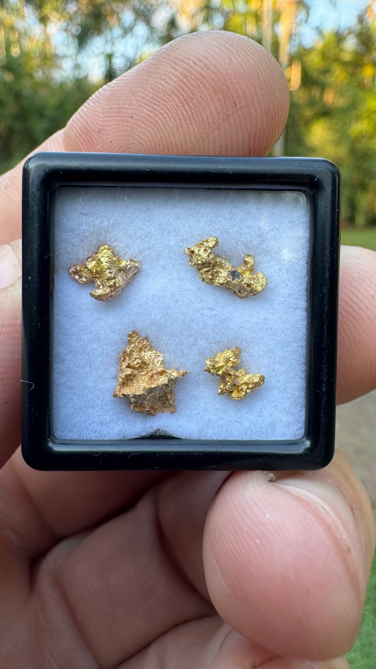 1.65 grams Pine Creek Gold Nuggets