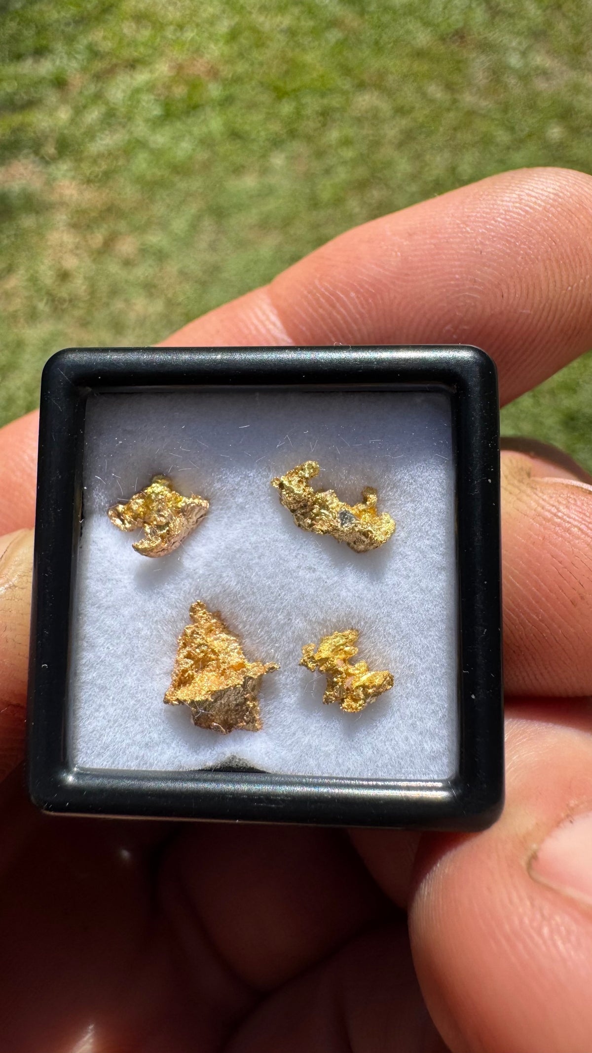 Amazing 1.65 grams of NT gold nuggets