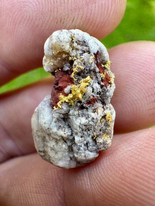 Beautiful Natural 4.85 gram Gold Specimen