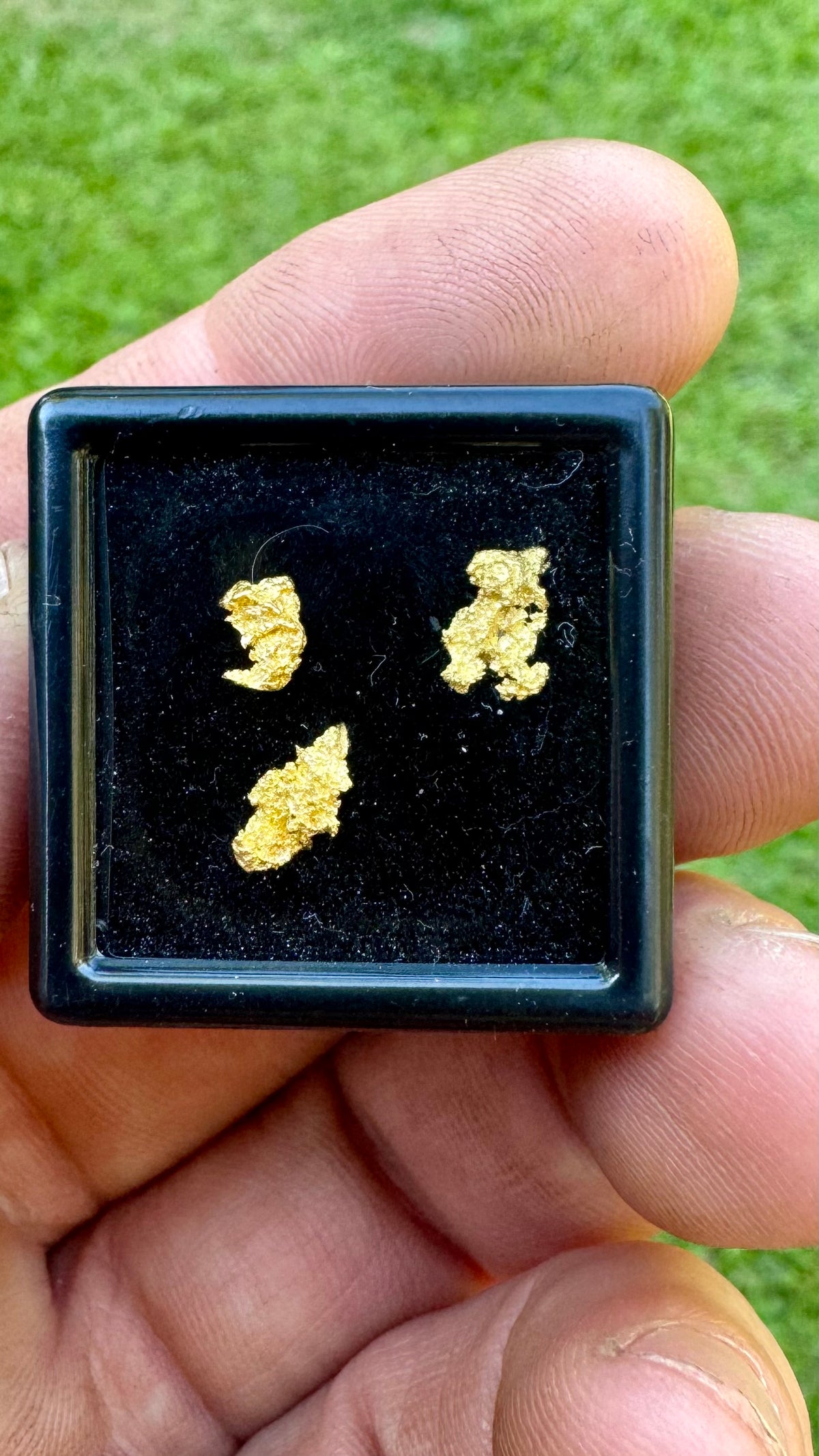 0.69 grams of NT Gold Nuggets