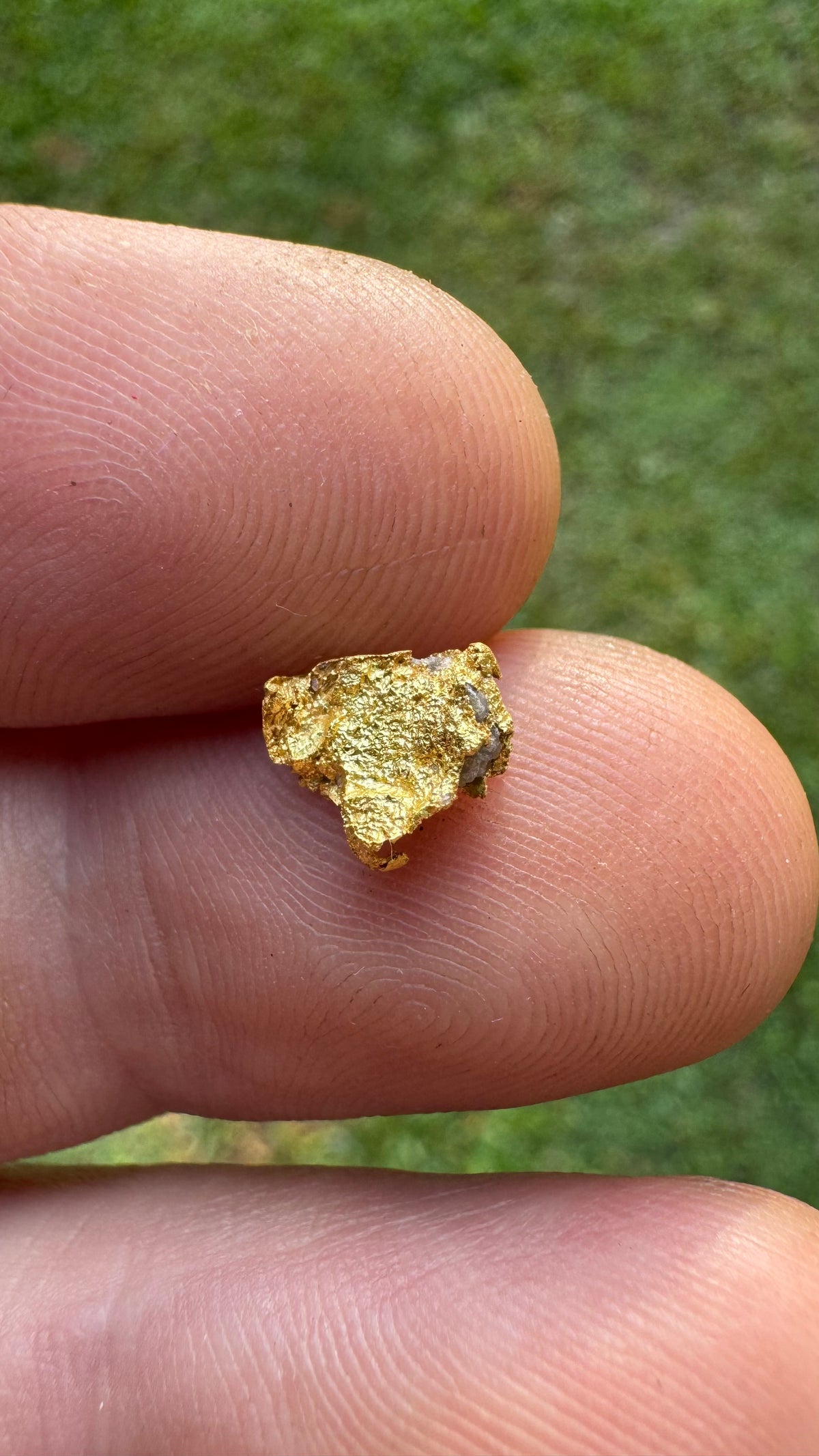 0.59 gram Northern Territory Gold Nugget