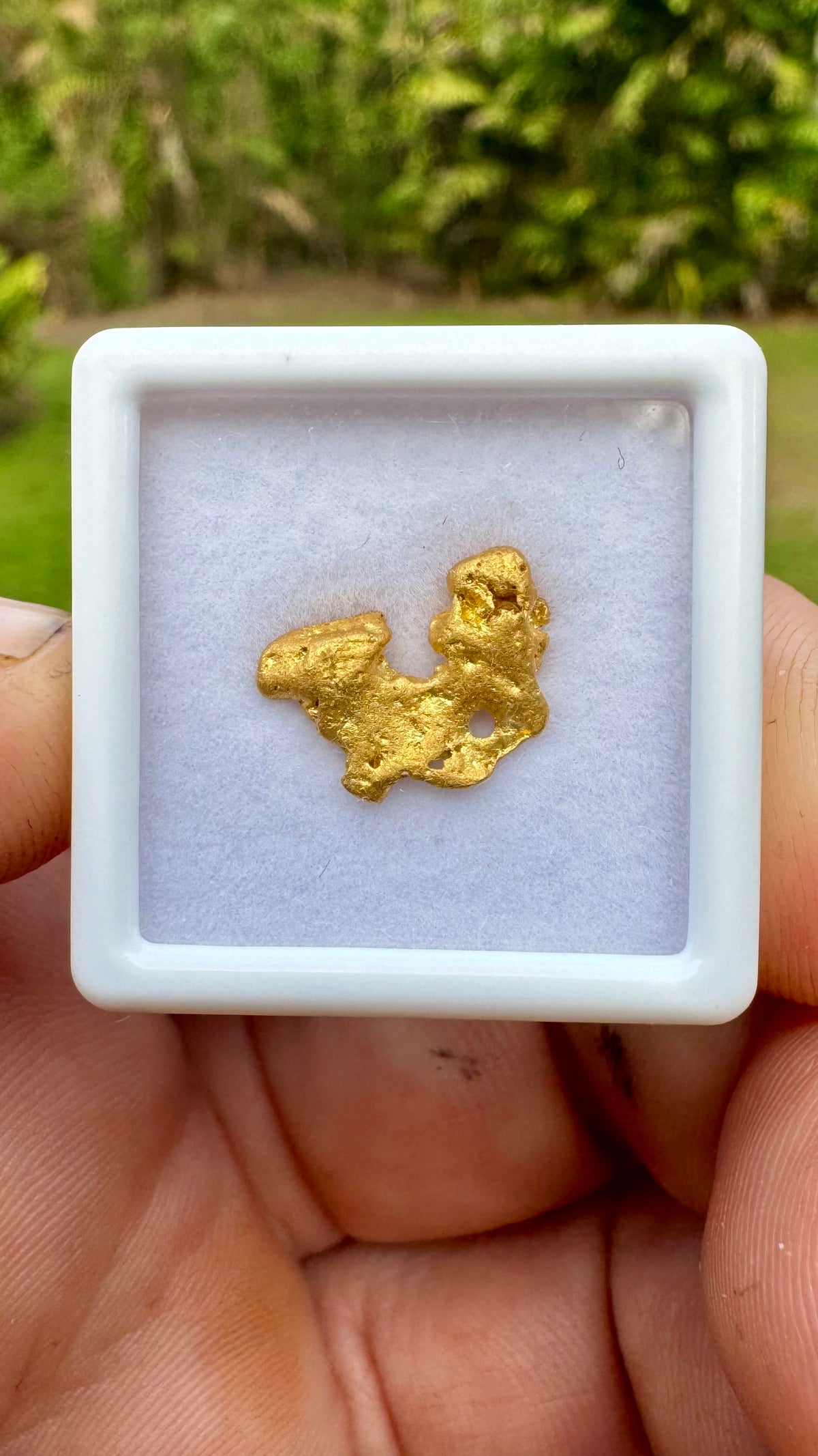 A Beautiful Butterfly Shaped Gold Nugget 1.80 grams