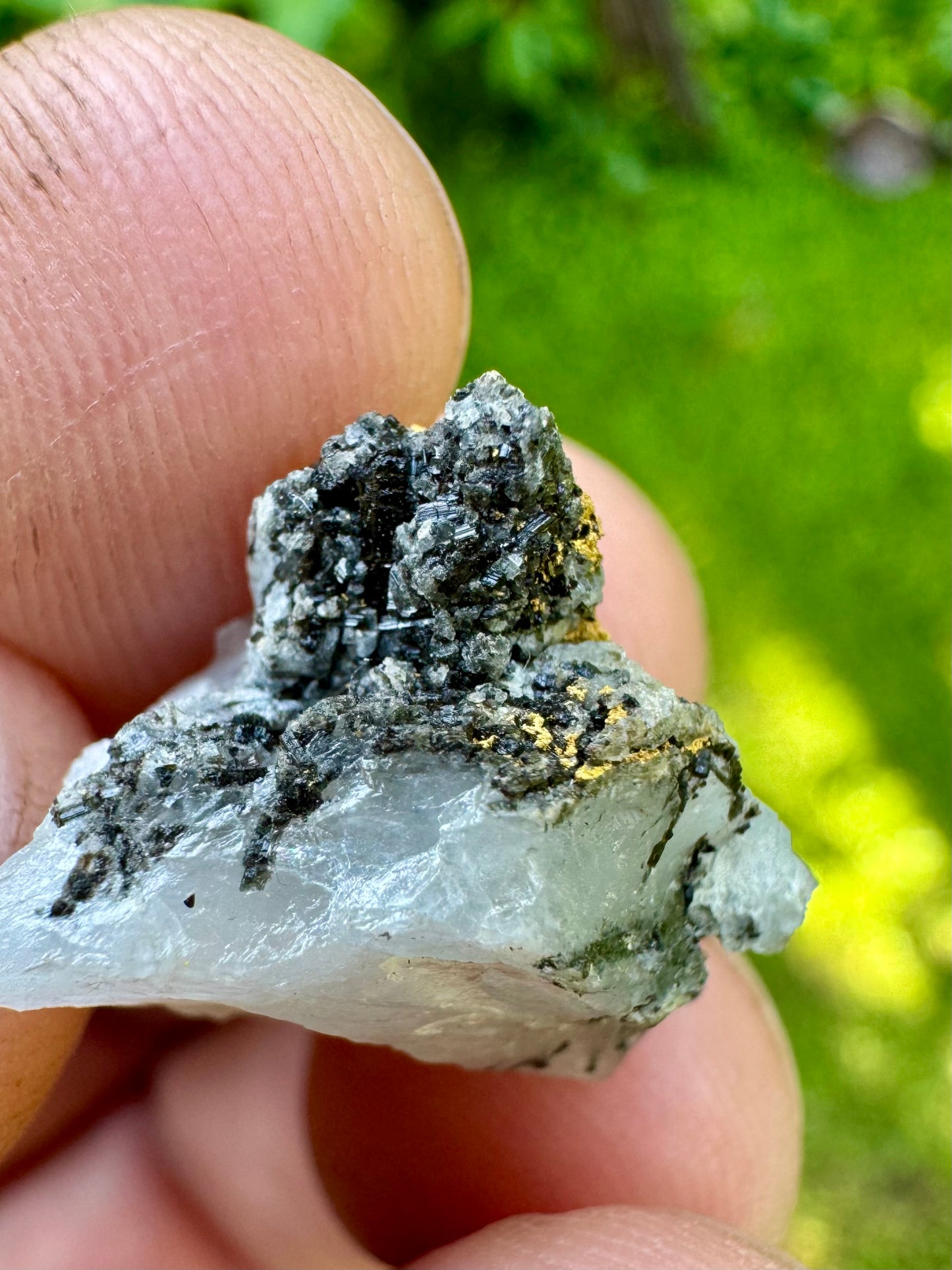 Unusual Collectors Gold Specimen