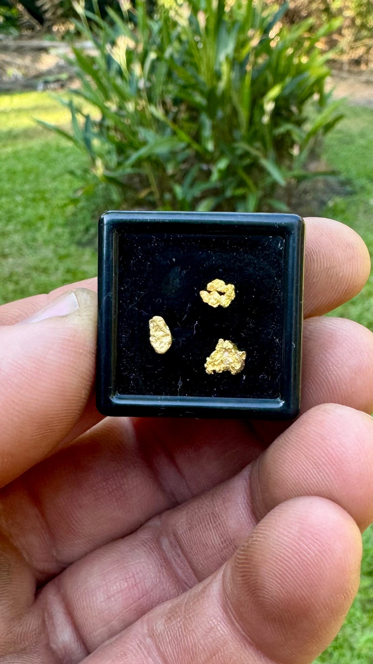 NT 0.67 gram Natural Gold Nuggets