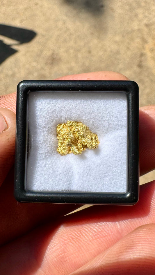Chunky 1.10 gram Gold nugget