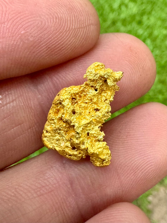 Beautiful Collectors 7.35 gram Northern Territory Gold Nugget
