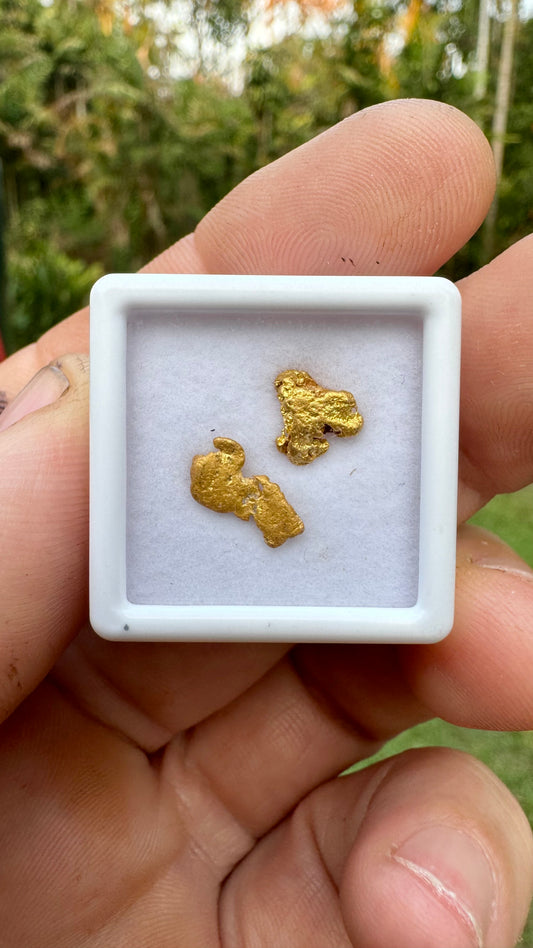 Amazing 1.45 grams of NT gold nuggets