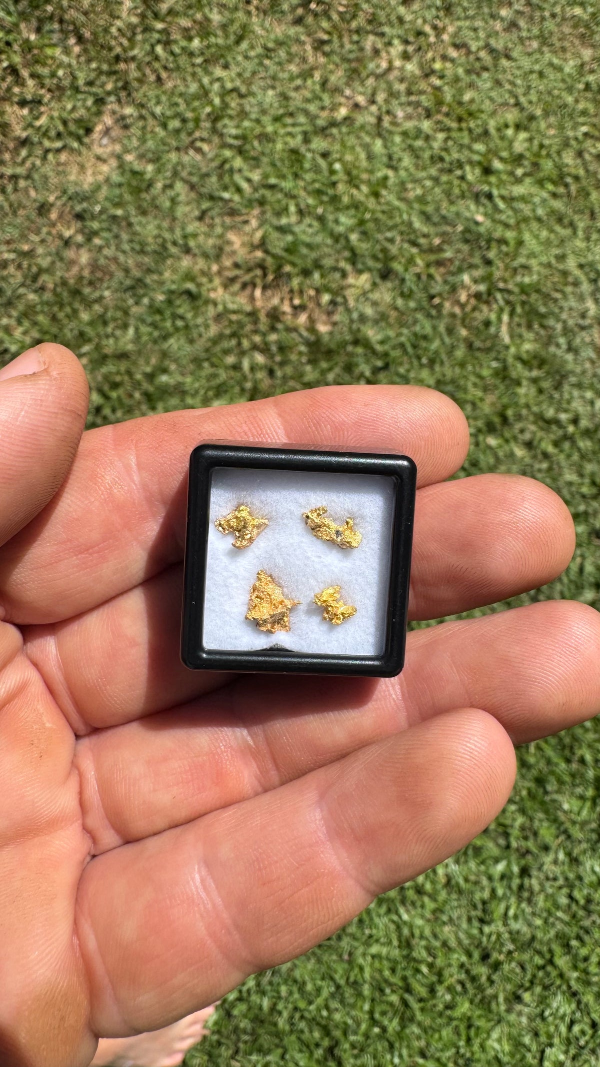 Amazing 1.65 grams of NT gold nuggets