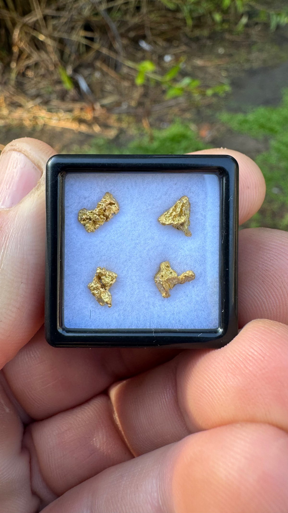 NT Gold Nugget 1.26 grams
