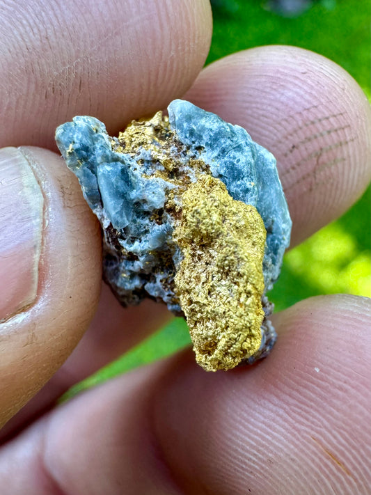 Beautiful blue quartz gold specimen 5.87 grams Pine Creek Gold Nugget