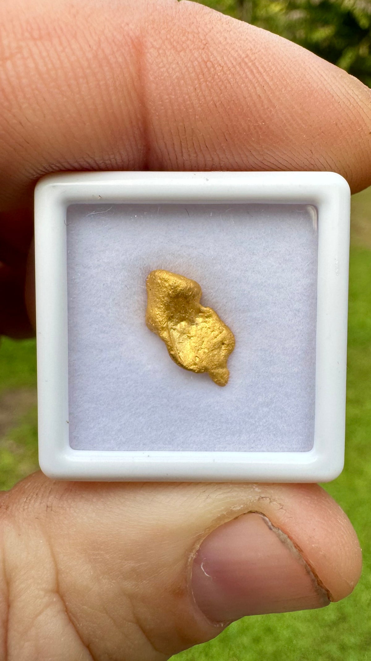 Special 1.75gram Gold Nugget