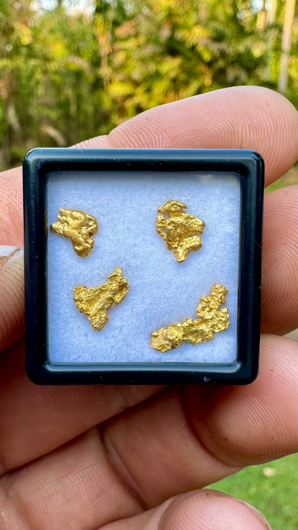 Natural NT 1.93 gram Gold Nuggets