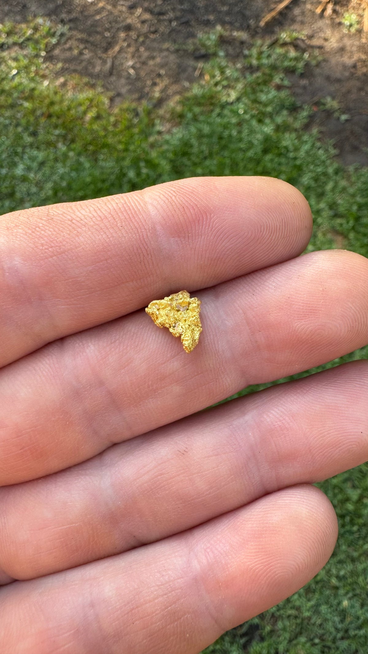 Beautiful Gold Nugget 1.85grams!