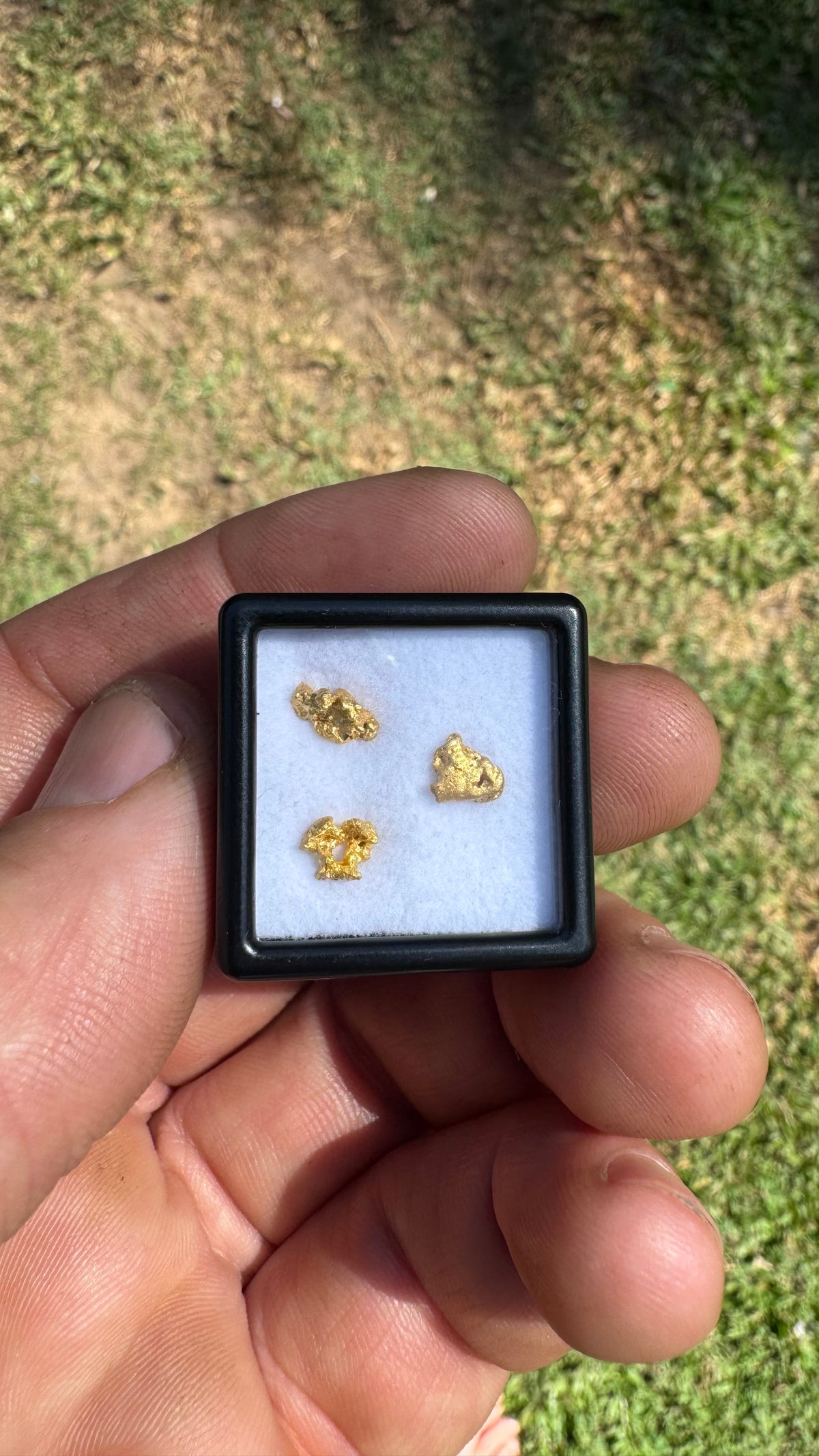Three Special 1.17gram Gold Nuggets