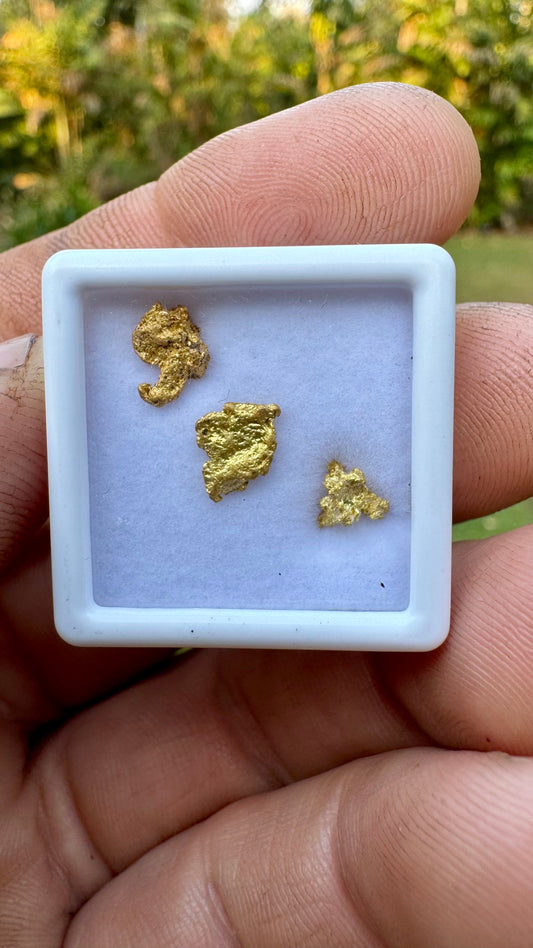 Beautiful Natural NT 1.15 grams Gold Nuggets