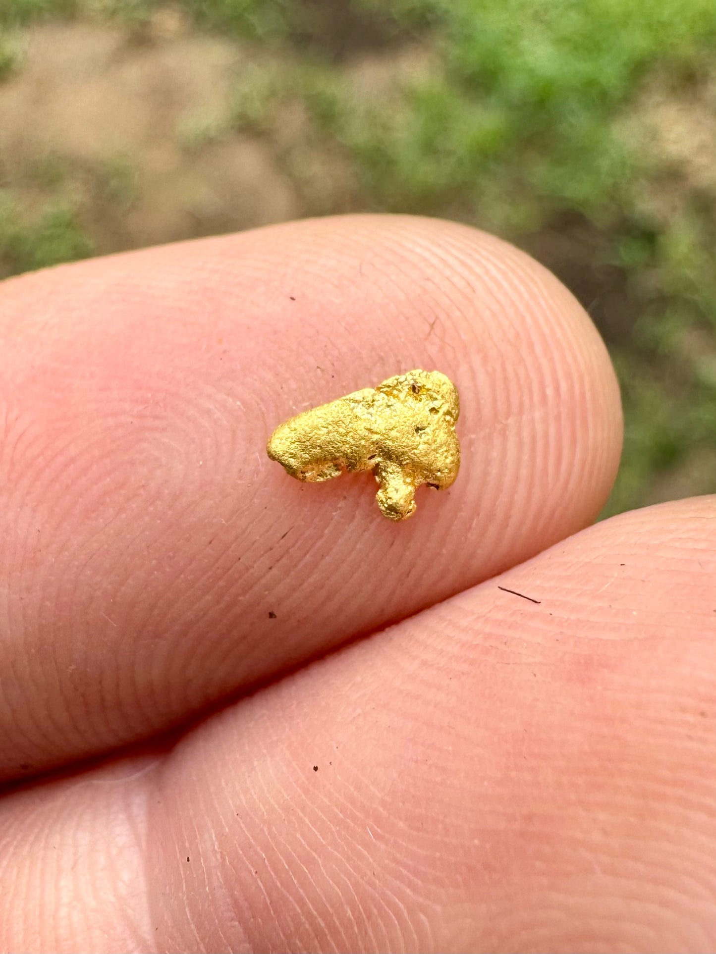 Flat 0.19 gram Gold Nugget
