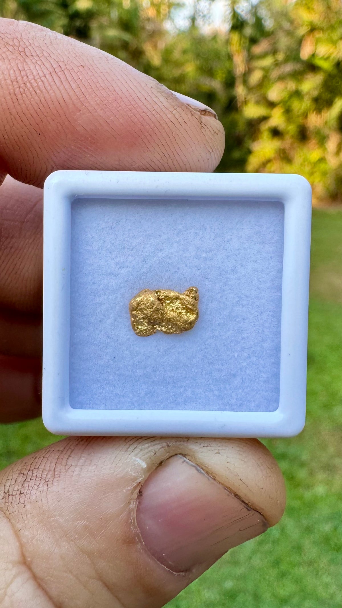 0.64 grams of NT Gold Nugget