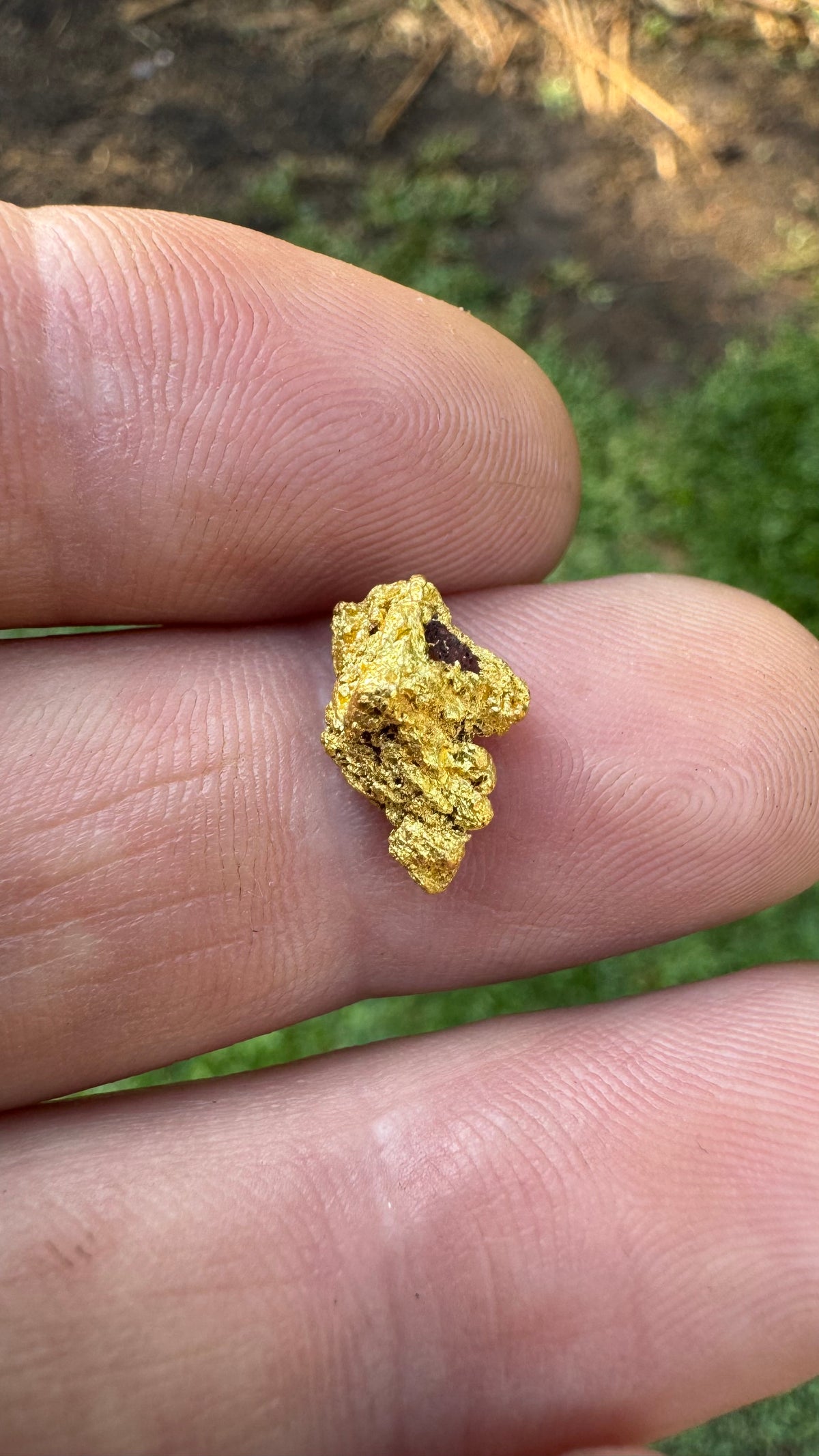 A Cracking Gold Nugget 3.05 grams