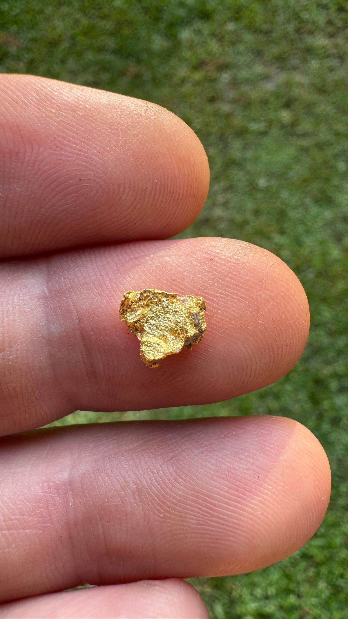 0.59 gram Northern Territory Gold Nugget