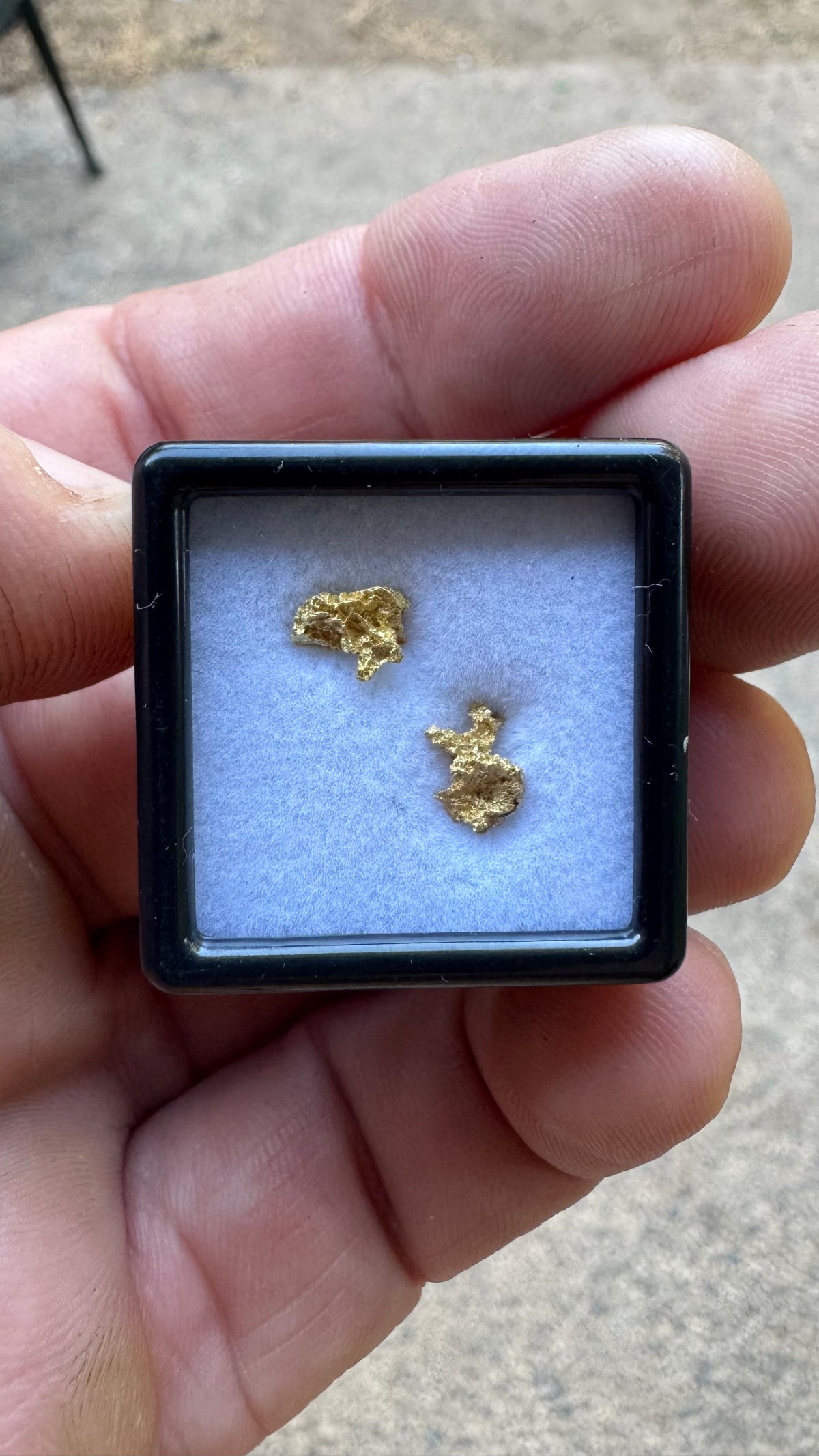 0.72 grams of Authentic Pine Creek Gold Nuggets