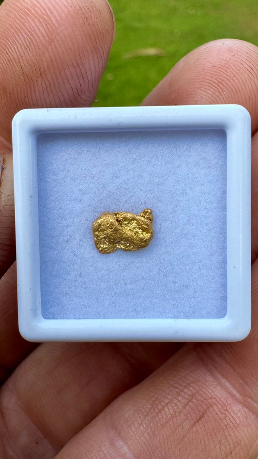 0.64 grams of NT Gold Nugget
