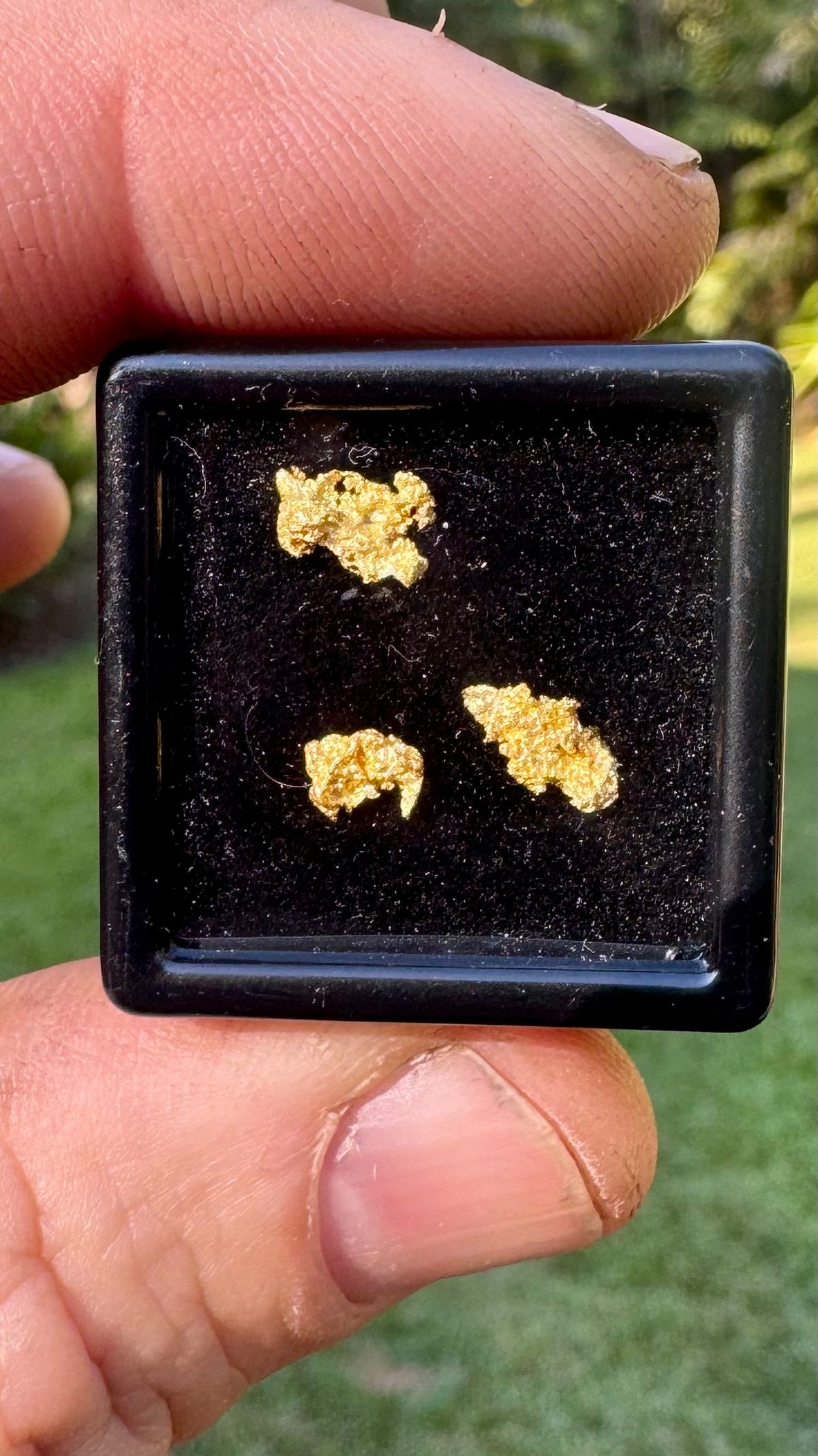0.69 grams of NT Gold Nuggets