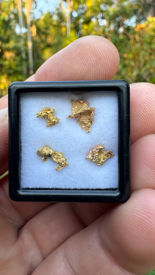 1.65 grams Pine Creek Gold Nuggets