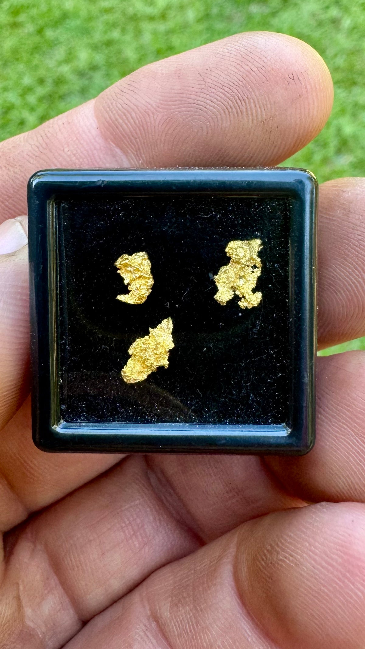 0.69 grams of NT Gold Nuggets
