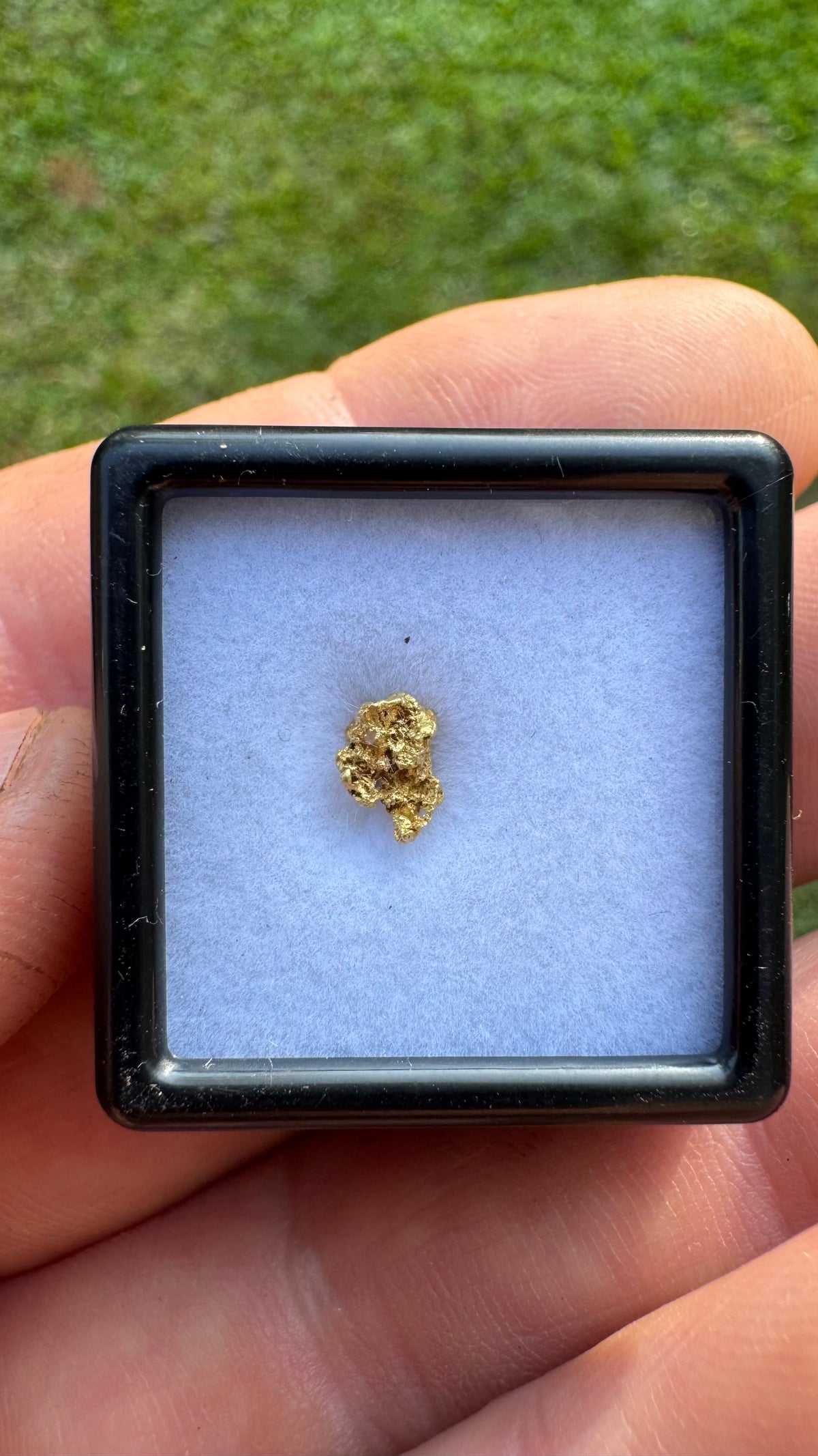 Natural NT 0.44 gram Gold Nuggets