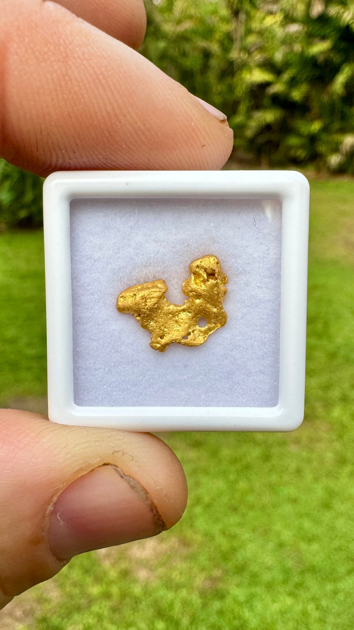 A Beautiful Butterfly Shaped Gold Nugget 1.80 grams