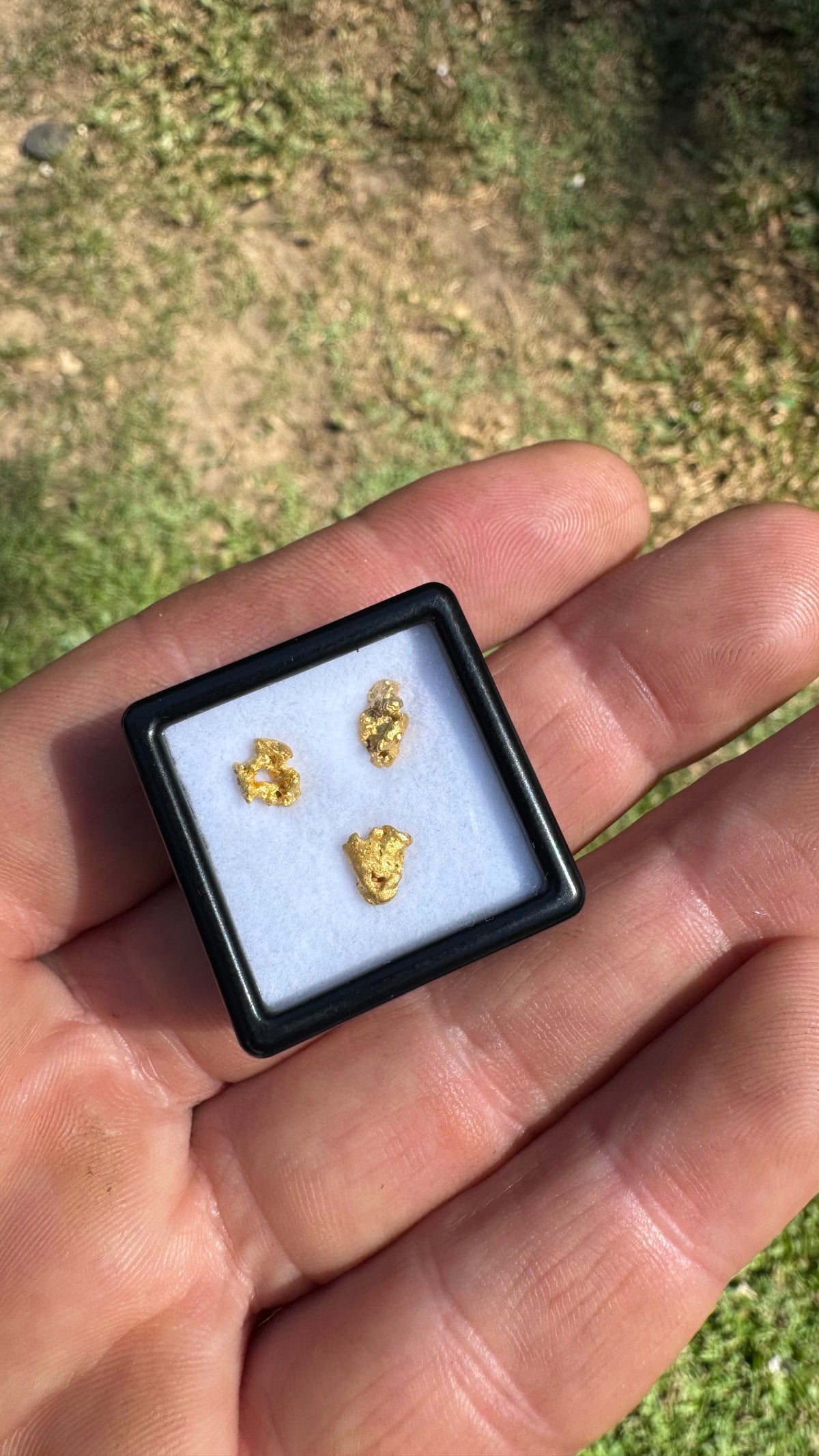 Three Special 1.17gram Gold Nuggets