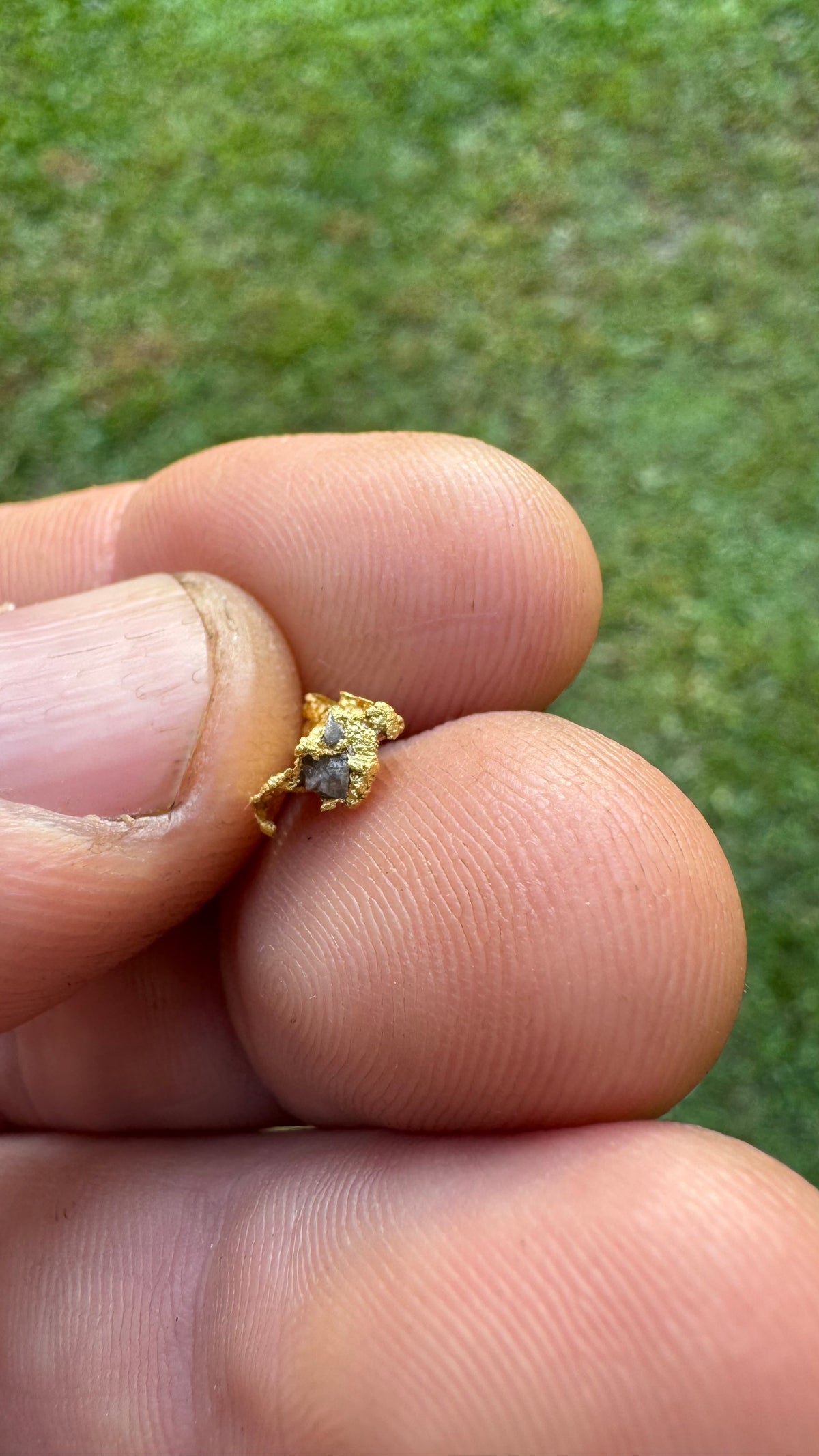 0.59 gram Northern Territory Gold Nugget