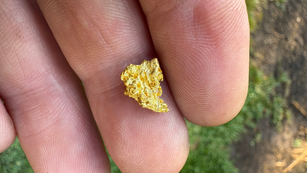 Beautiful Gold Nugget 1.85grams!