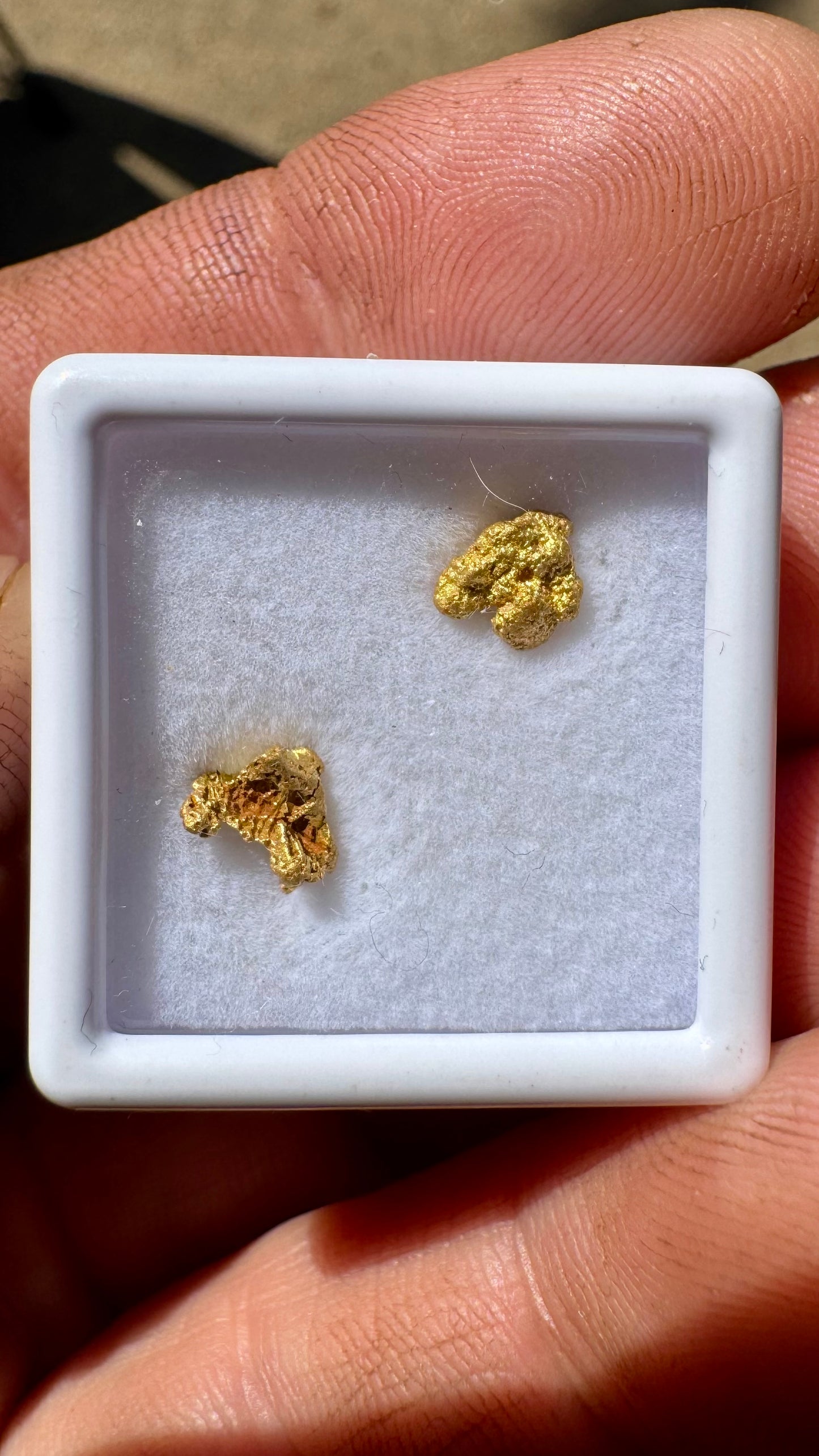 1.21 grams of Pine Creek Gold Nuggets