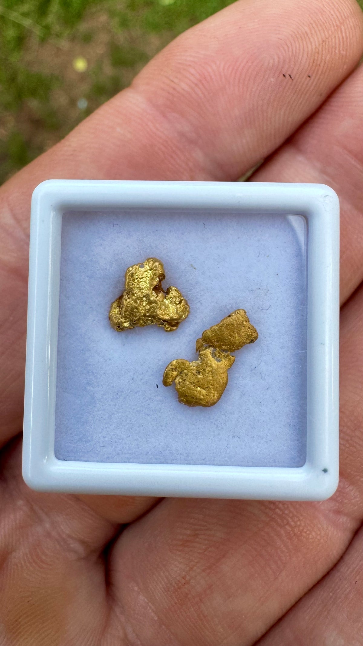 Amazing 1.45 grams of NT gold nuggets