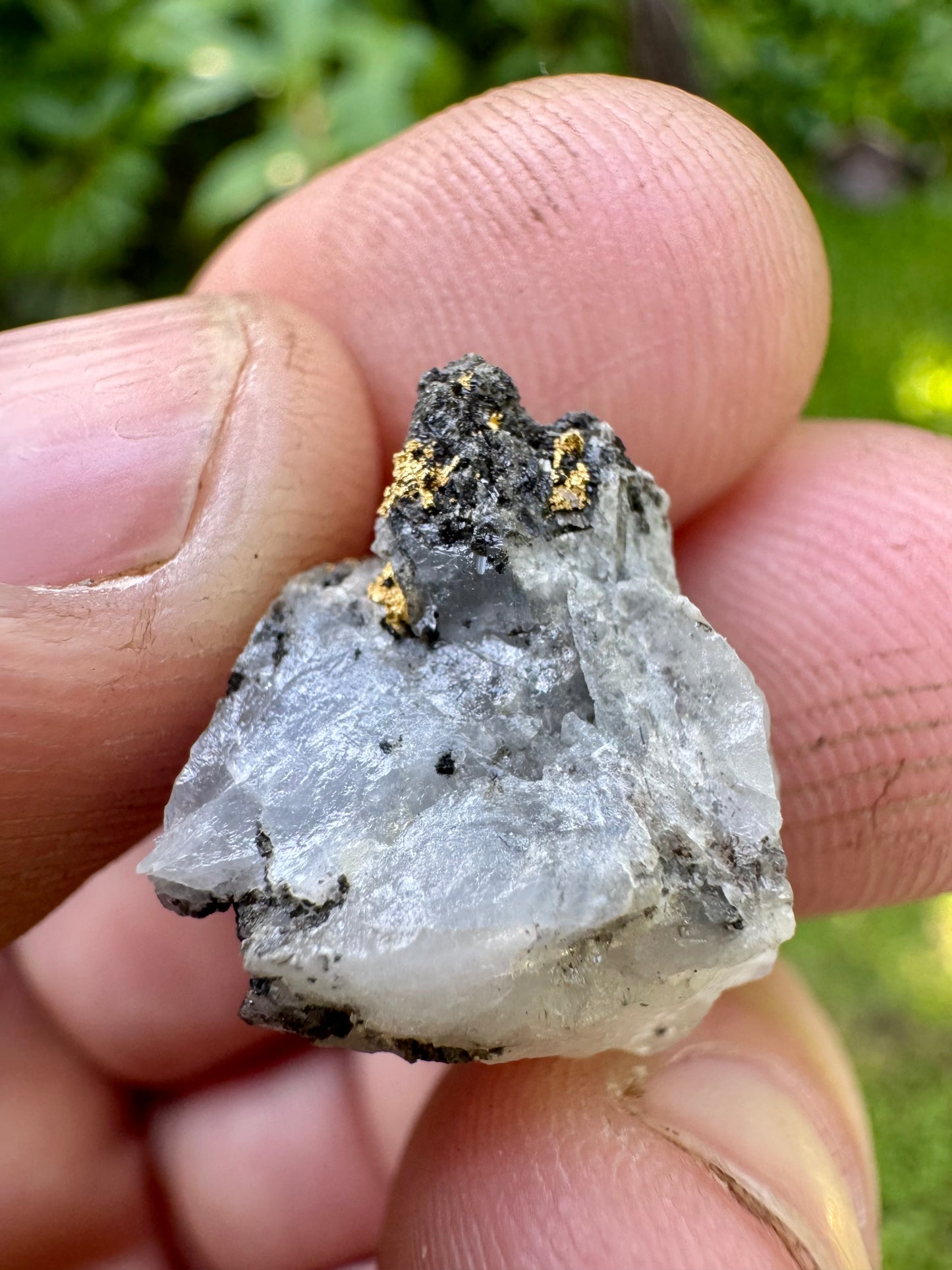 Unusual Collectors Gold Specimen