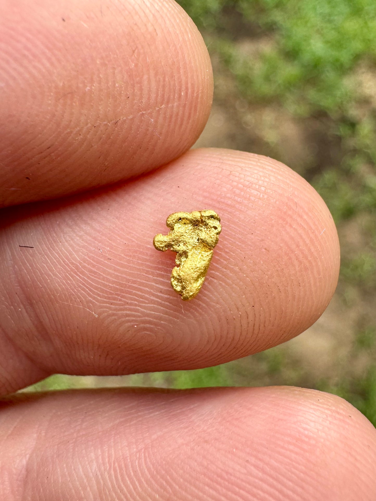 Flat 0.19 gram Gold Nugget