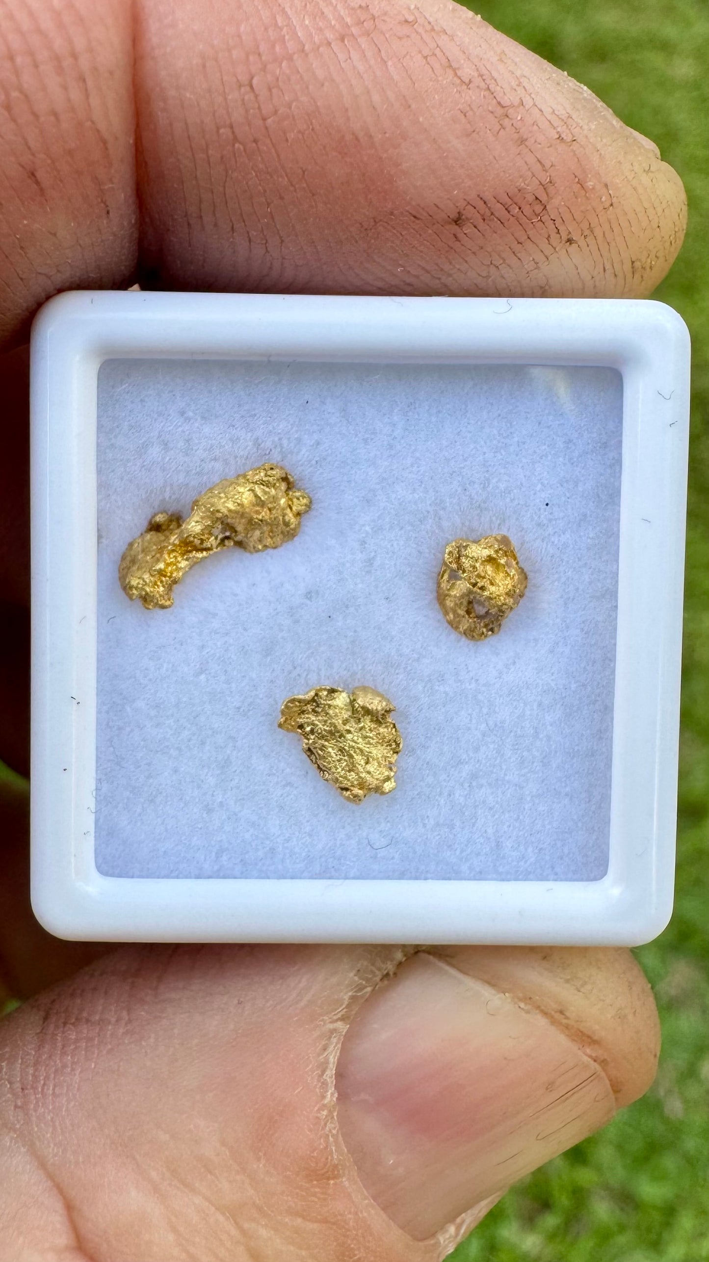 1.12 grams for three NT Gold Nuggets