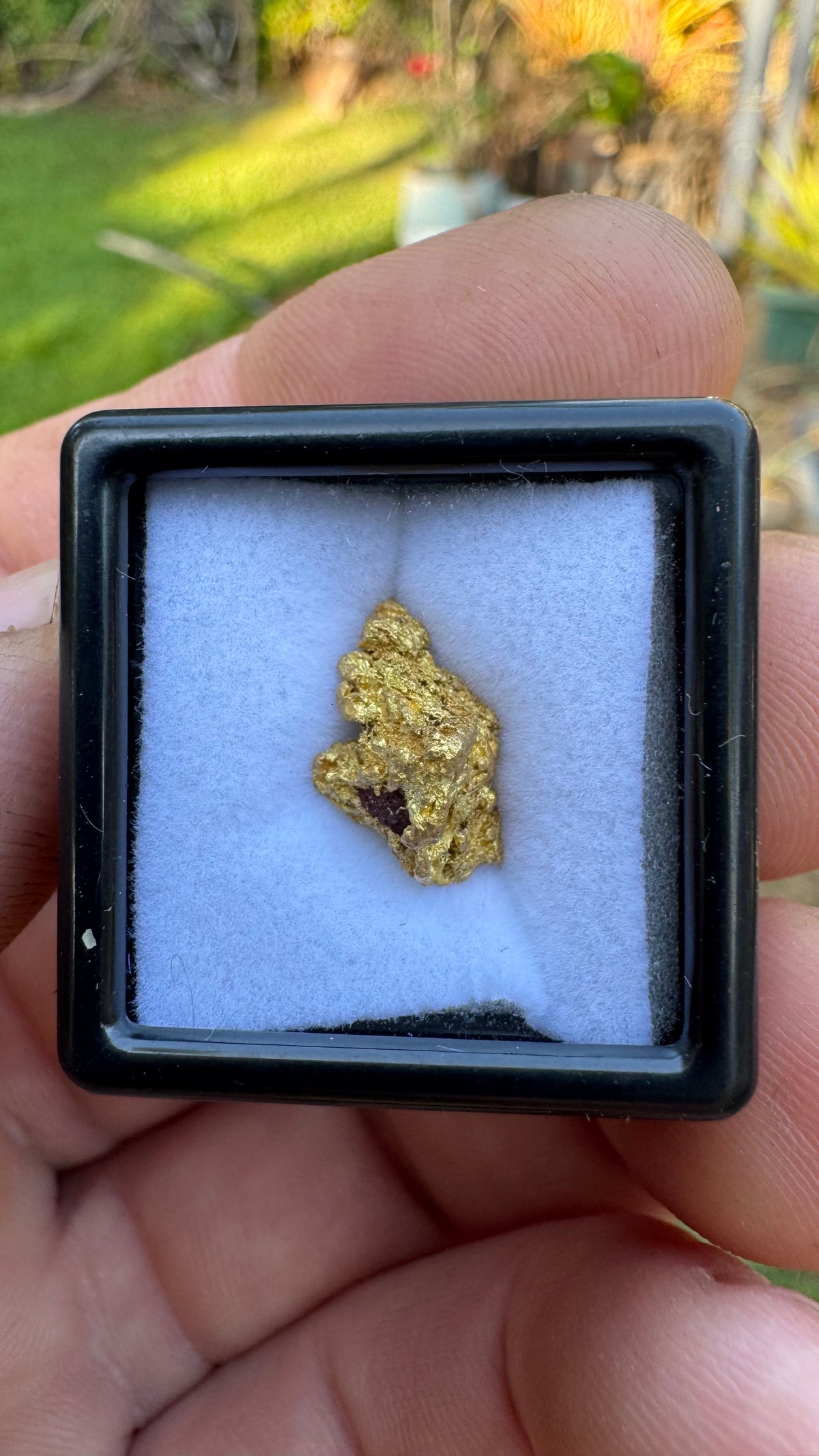 A Cracking Gold Nugget 3.05 grams